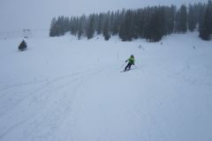 IMG_1231
