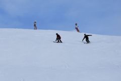 DSC_0202-2