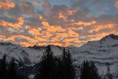 IMG-20231229-WA0000