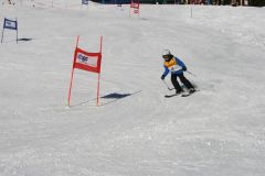 IMG_5278