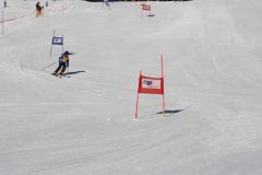 IMG_5352