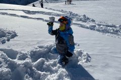 IMG-20241228-WA0031